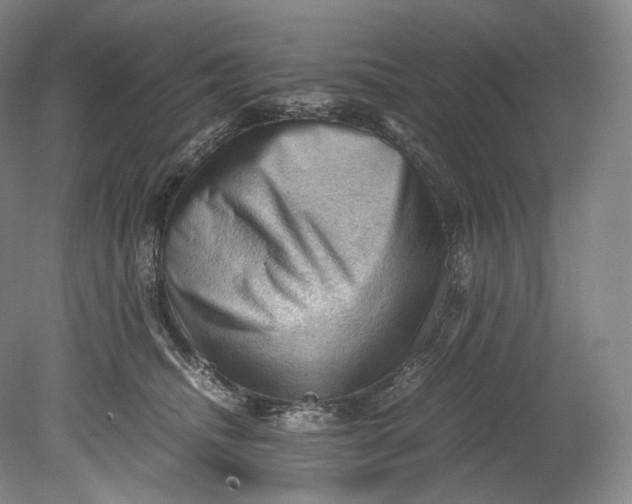 X0000080810468200701021320