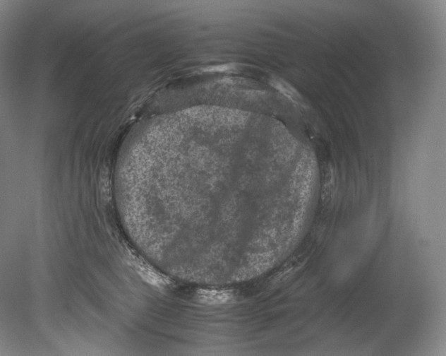 X0000080810469200701021320