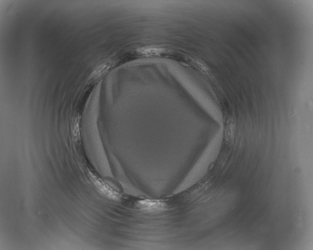 X0000080810477200701021320