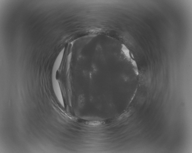 X0000080810479200701021320