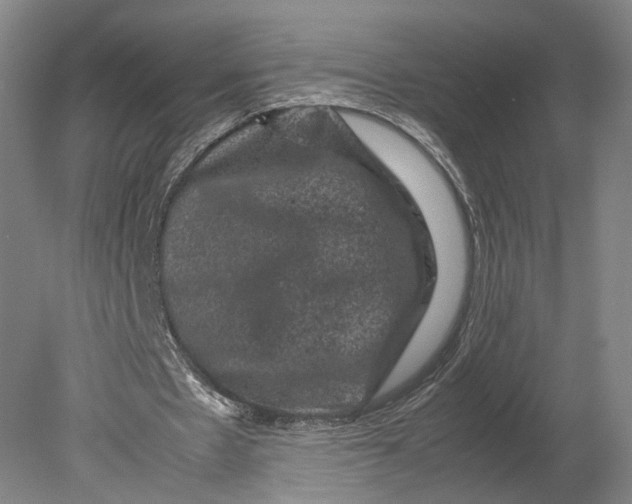 X0000080810481200701021320