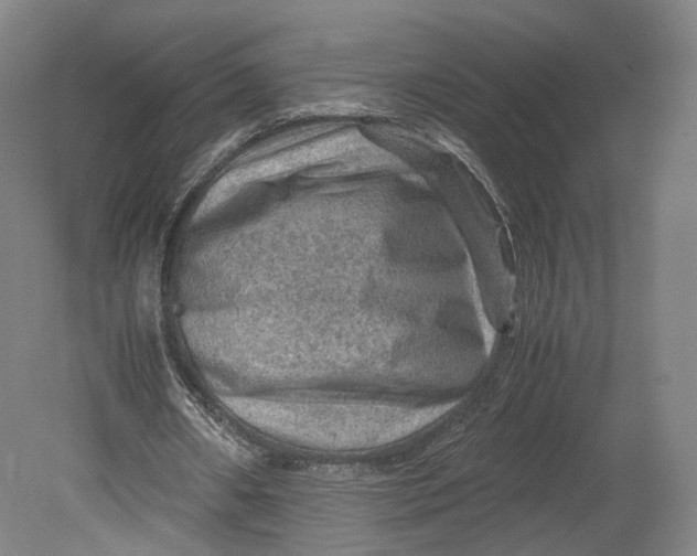 X0000080810482200701021320