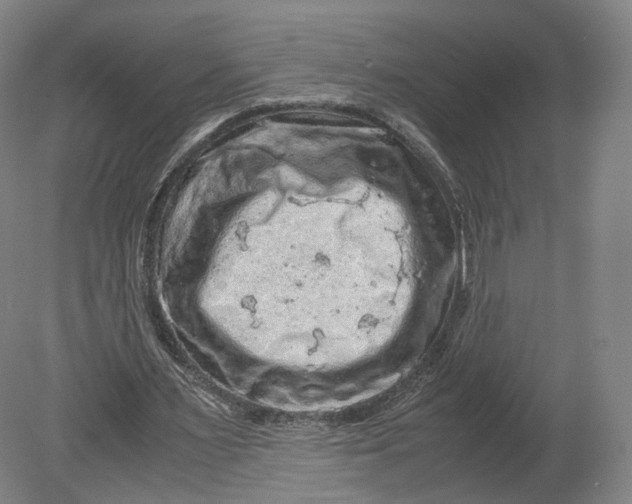 X0000080810483200701021320