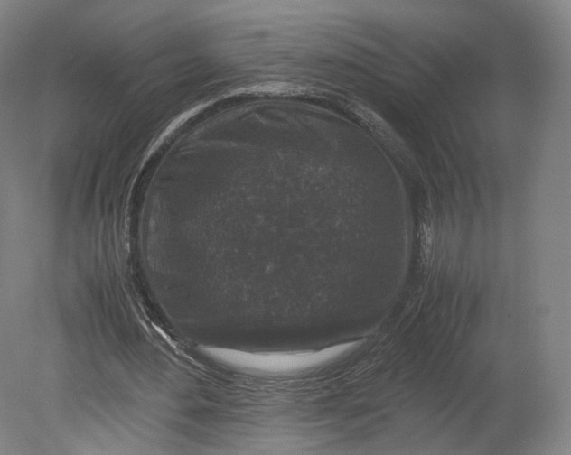 X0000080810484200701021320