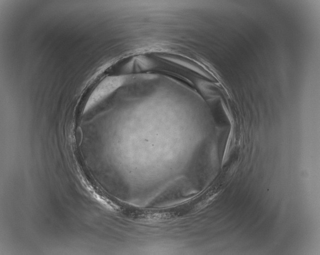 X0000080810485200701021319