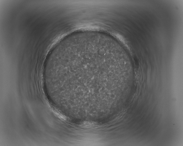 X0000080810487200701021319