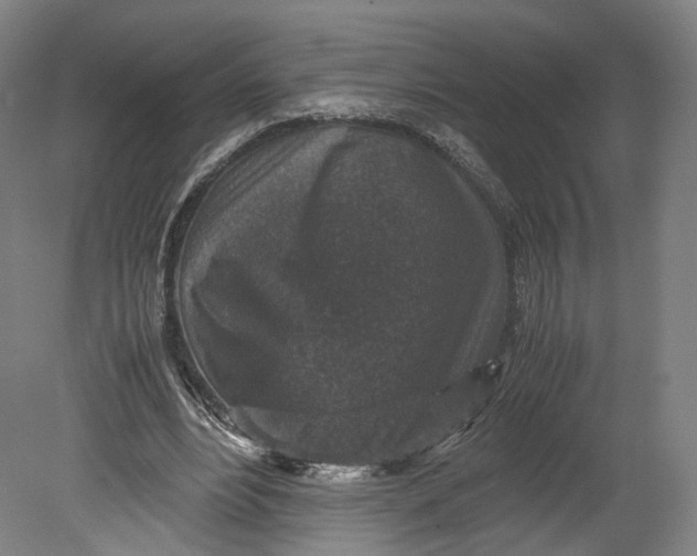 X0000080810488200701021319