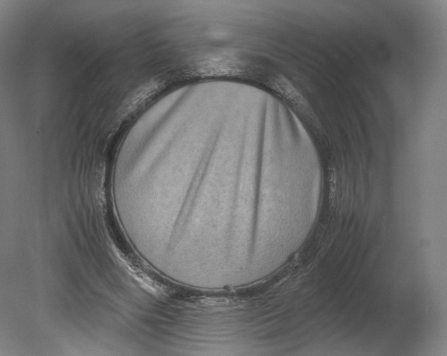 X0000080810490200701021319