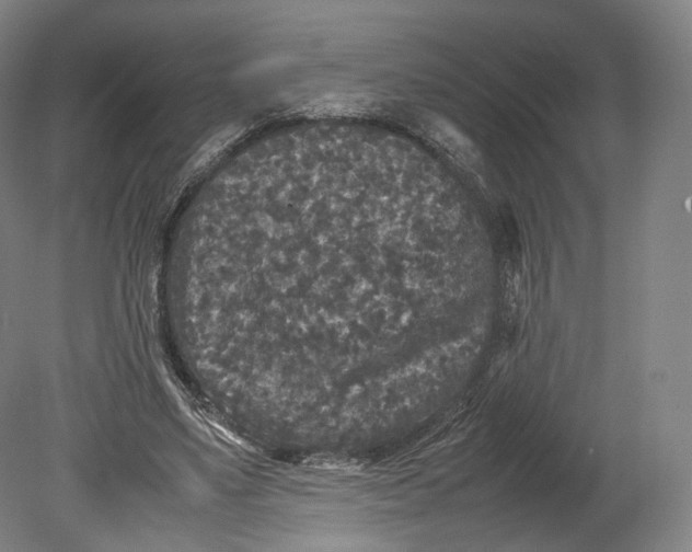 X0000080810491200701021319