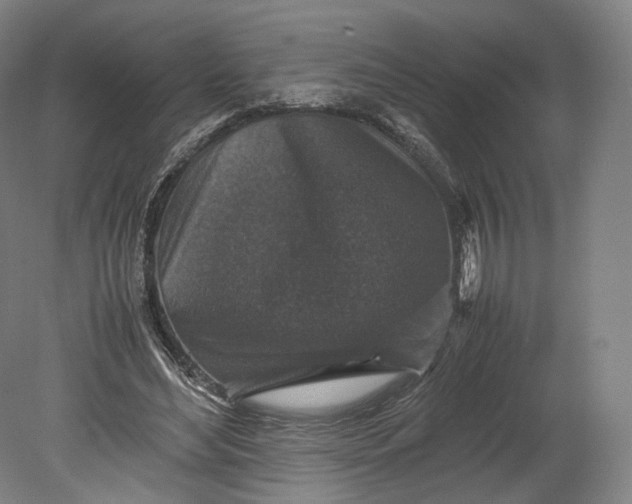 X0000080810492200701021319