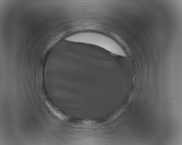 X0000080810493200701021319