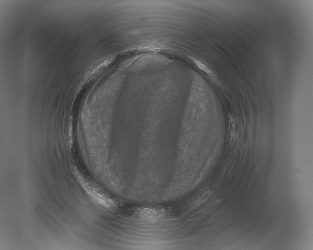 X0000080810494200701021319