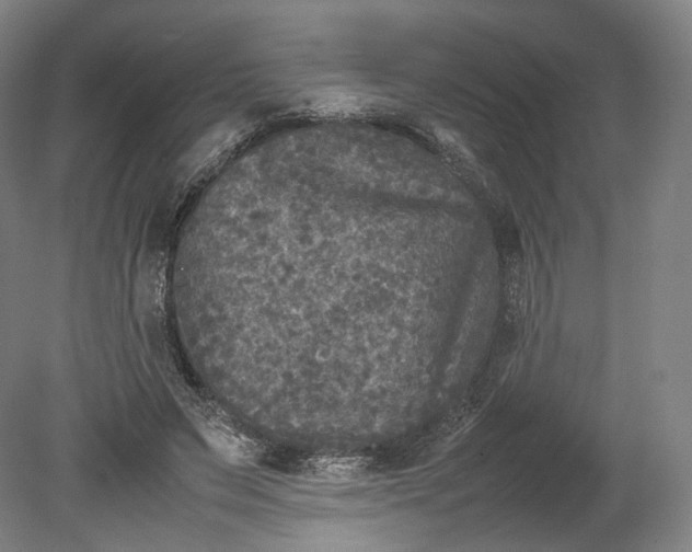 X0000080810495200701021319