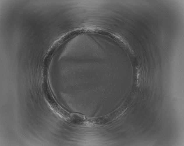 X0000080810496200701021319