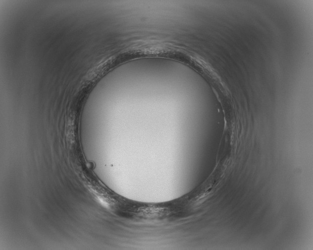 X0000080810497200701021319