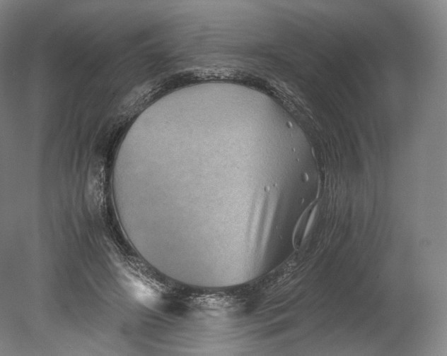 X0000080810498200701021319