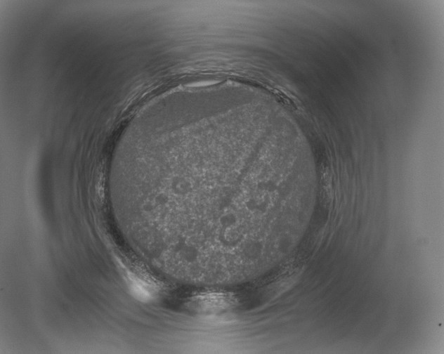 X0000080810499200701021319