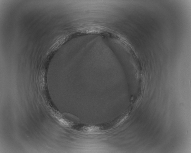 X0000080810501200701021319