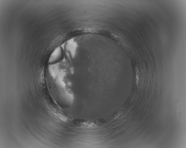 X0000080810502200701021319