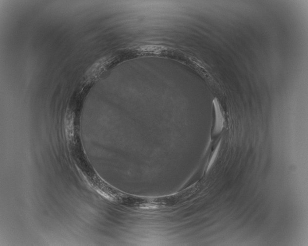 X0000080810504200701021319