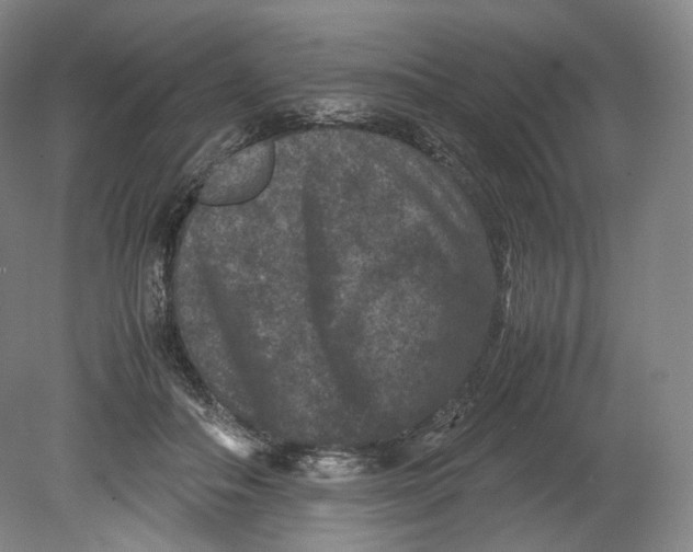 X0000080810506200701021319