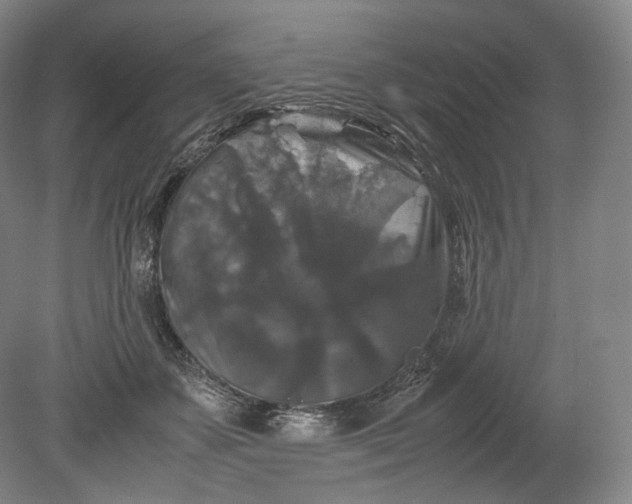 X0000080810507200701021319