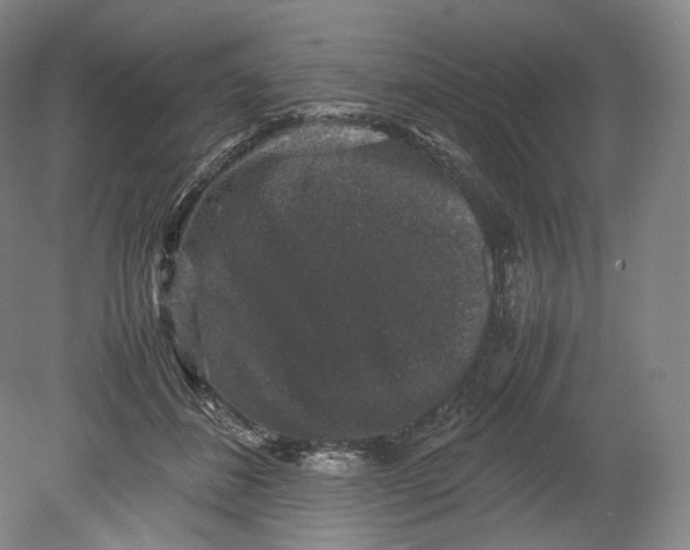 X0000080810508200701021319