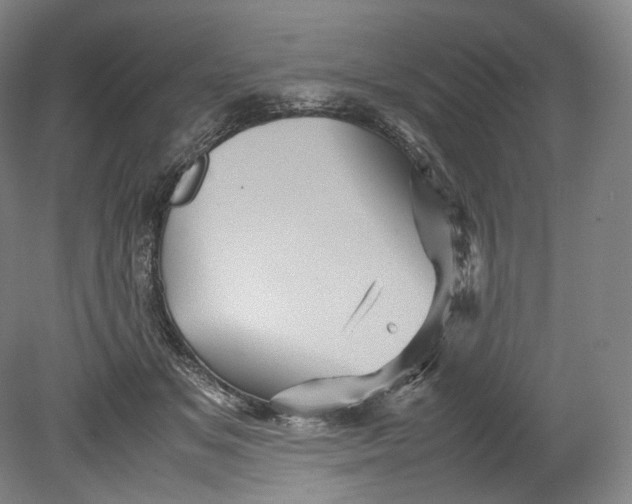 X0000080810509200701021319