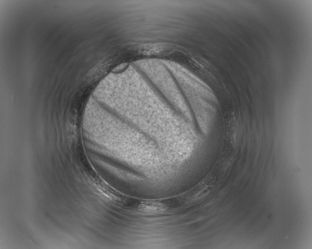 X0000080810510200701021319