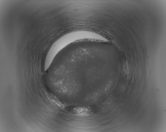 X0000080810512200701021319