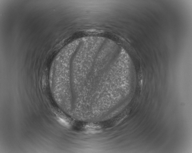 X0000080810515200701021319