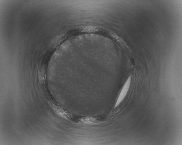 X0000080810517200701021319