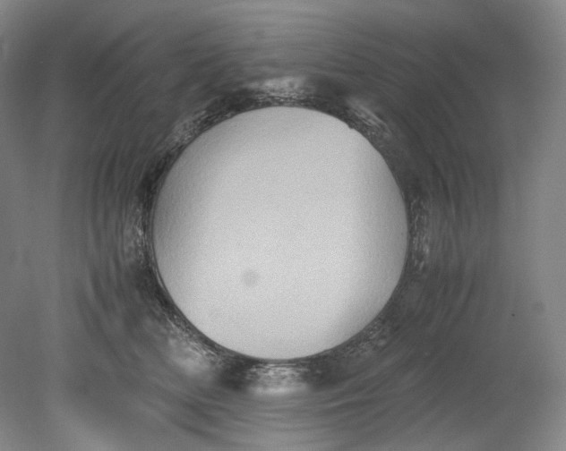 X0000080810518200701021319