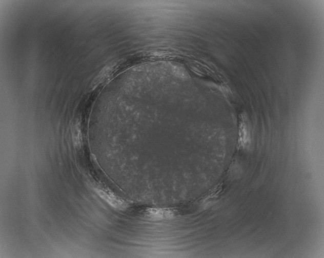 X0000080810520200701021319