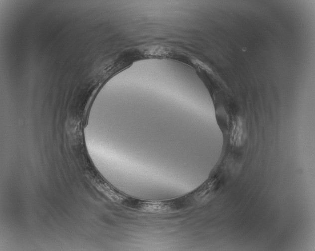 X0000080810521200701021319