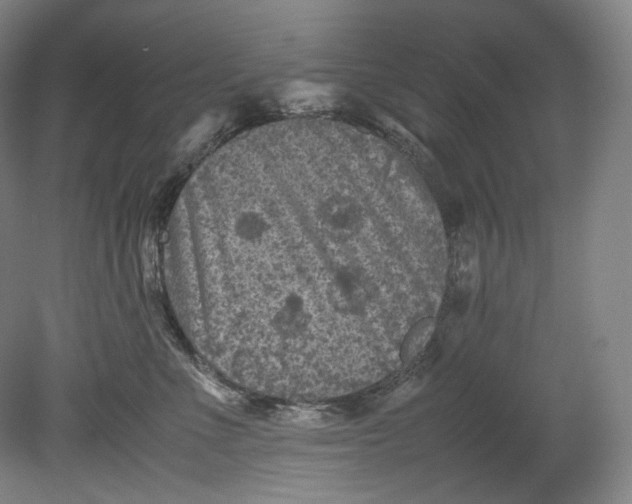 X0000080810523200701021319