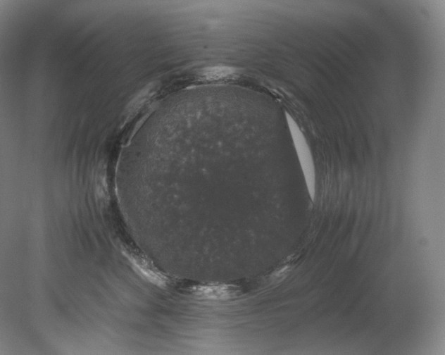 X0000080810524200701021319