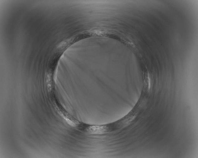 X0000080810526200701021319