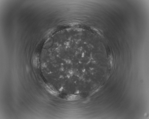 X0000080810527200701021319