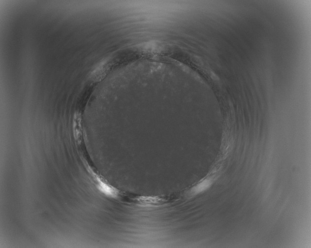 X0000080810528200701021319