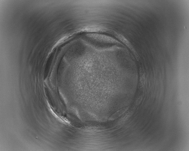 X0000080810530200701021318