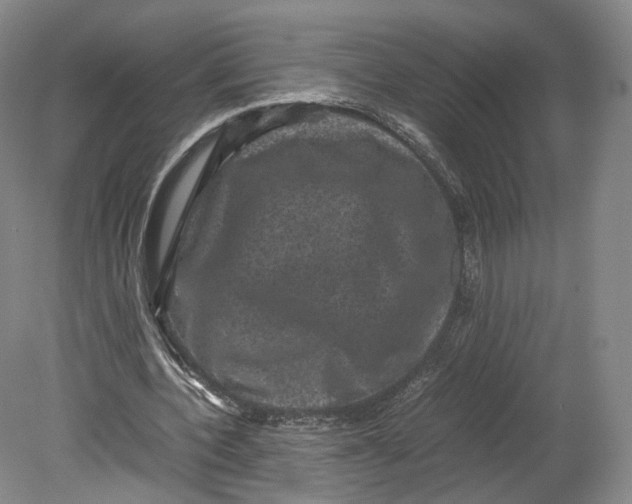 X0000080810532200701021318