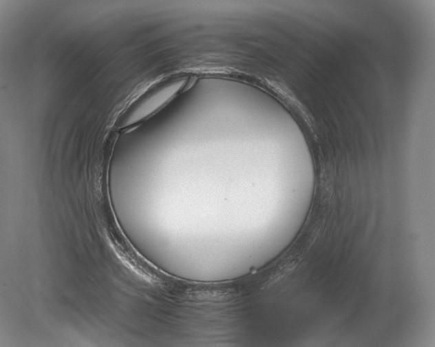 X0000080810533200701021318