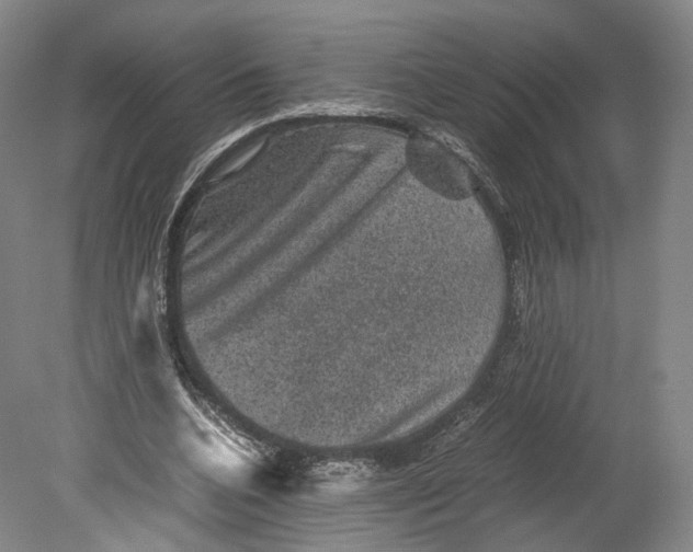 X0000080810536200701021318