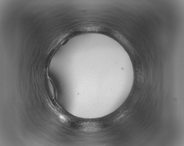 X0000080810537200701021318