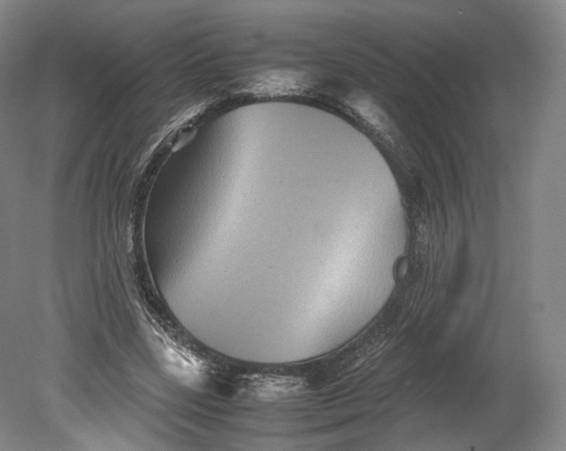 X0000080810539200701021318