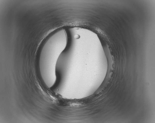 X0000080810540200701021318