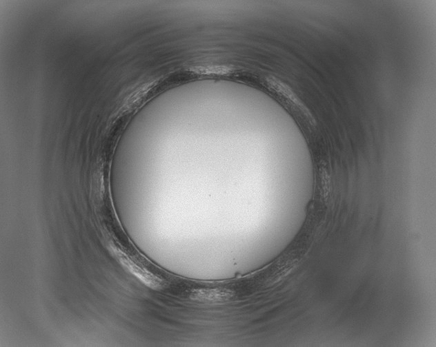 X0000080810541200701021318