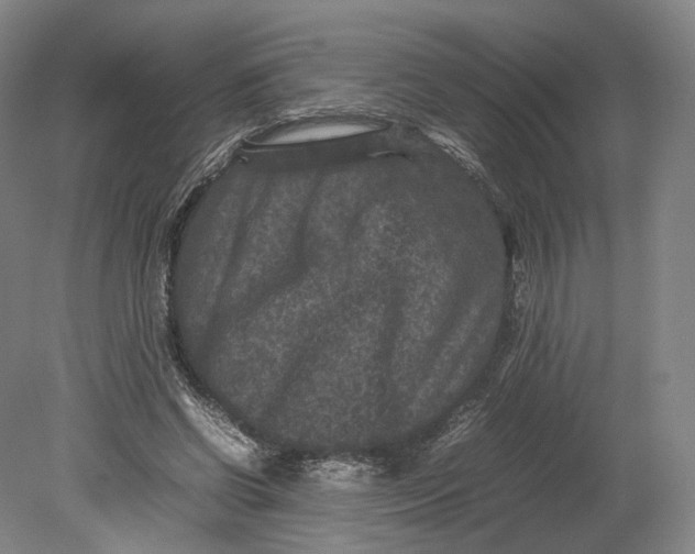 X0000080810542200701021318