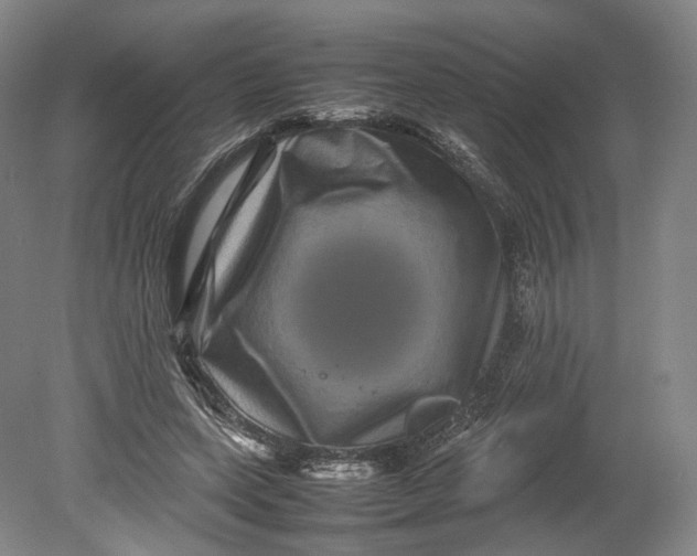 X0000080810543200701021318